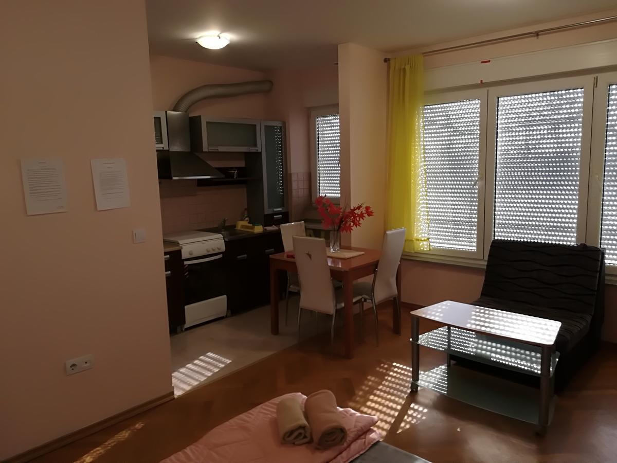 Guesthouse Sava Slavonski Brod Esterno foto