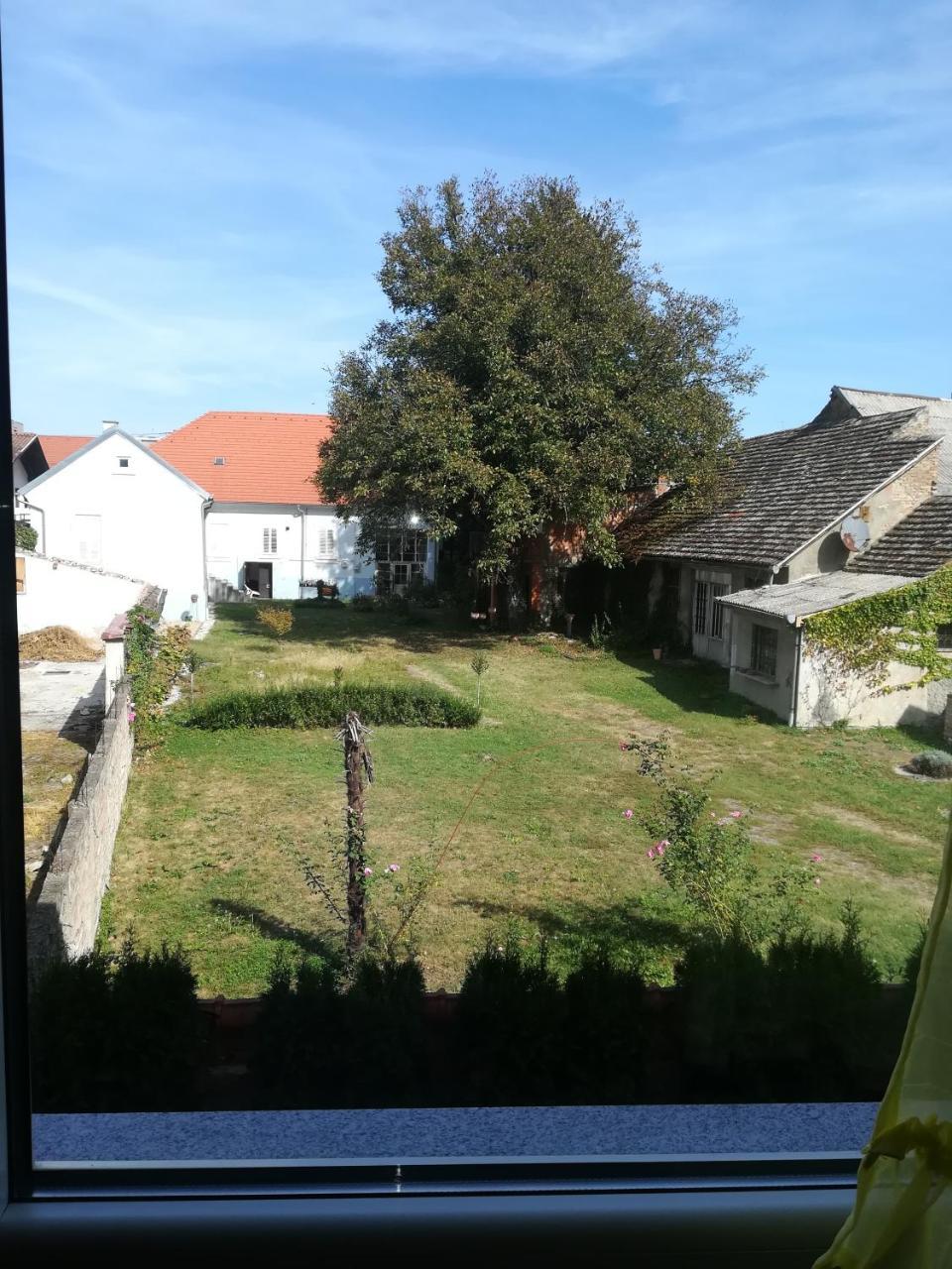 Guesthouse Sava Slavonski Brod Esterno foto