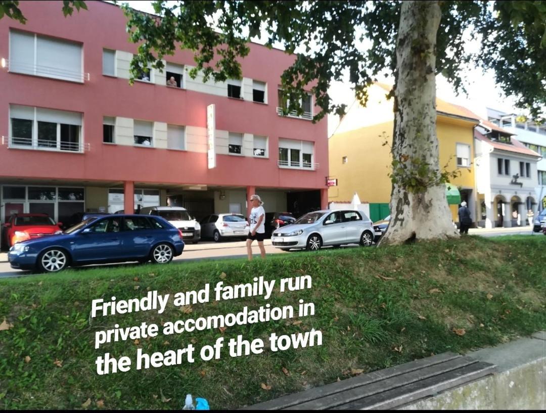 Guesthouse Sava Slavonski Brod Esterno foto